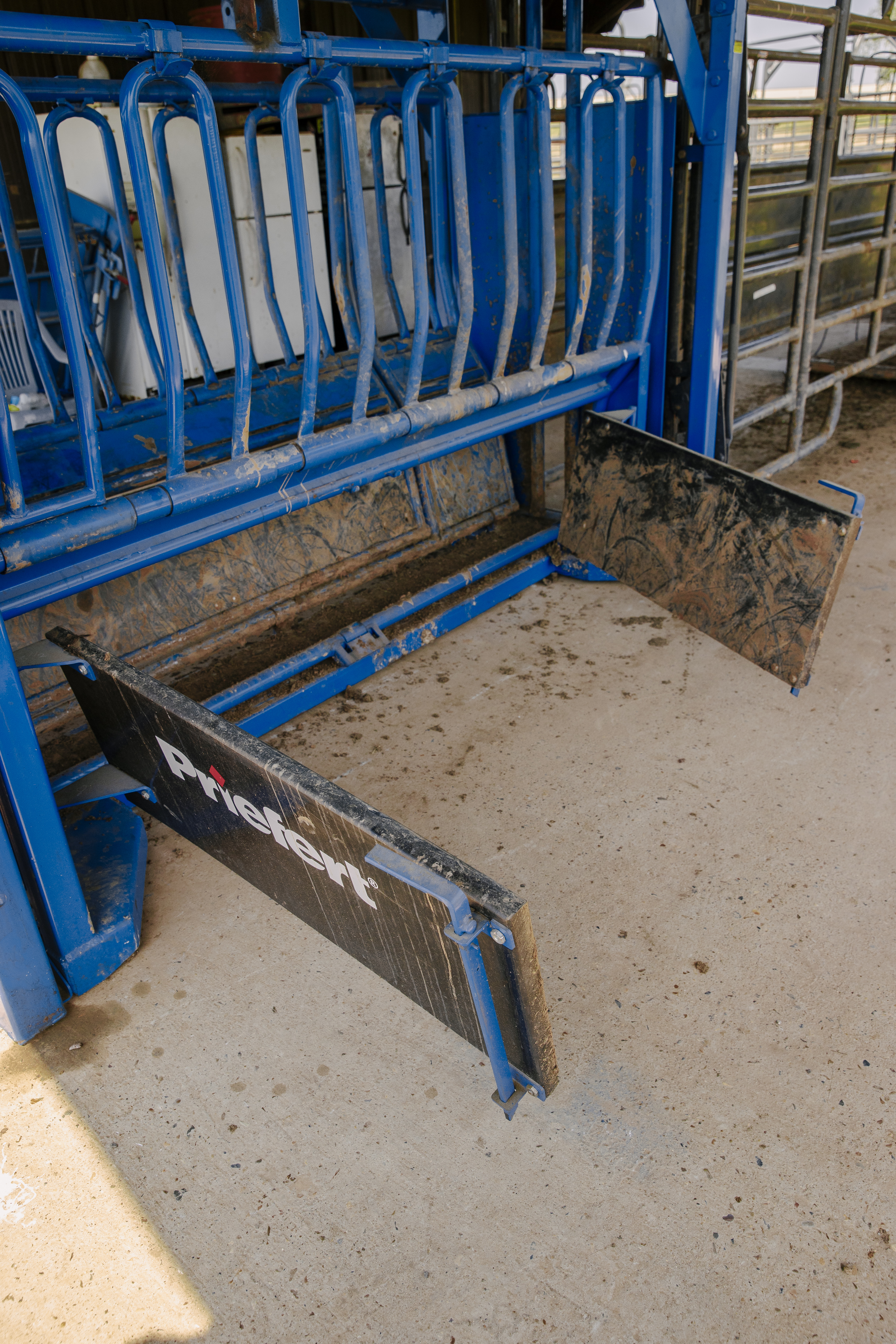 SqueezeChute SC25 0326 WorkingPens 9584.jpg